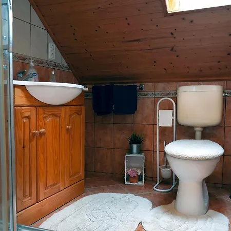 Pensjonat Zoltan Borhaza