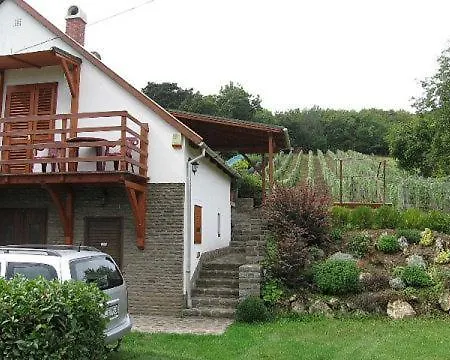 Pensjonat Zoltan Borhaza