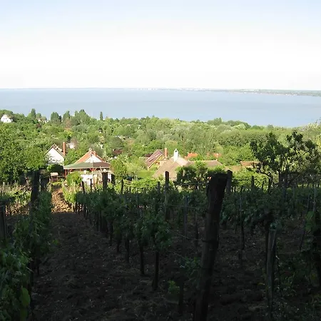 Pensjonat Zoltan Borhaza Tihany